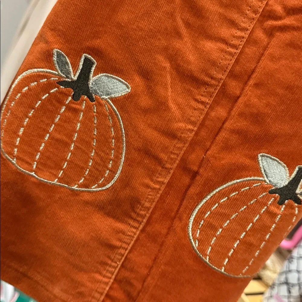 NWT Isaac Mizrahi NY 3T Girls Fall Outfit Dress Overalls Long Sleeve Hair Clips - Picture 2 of 5